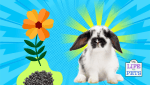 recycle bunny poop