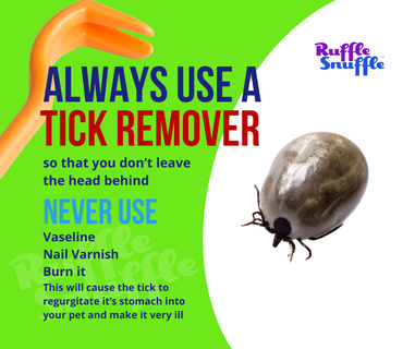 can you put vaseline on a tick on a dog