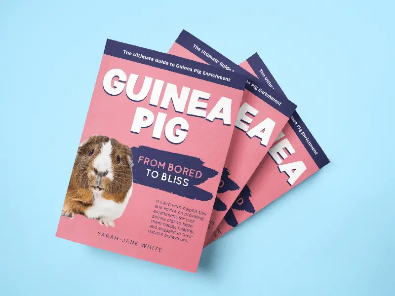Guinea Pig Enrichment Book