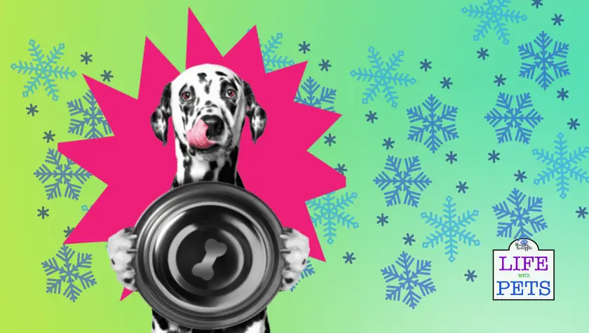 cooked frozen dog food