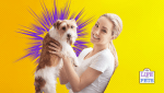 dog climbs on you