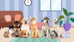 family pets