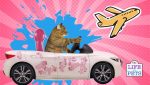 travel with your cat