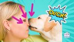 why does my dog bite me and not my husband