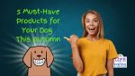 5 Must-Have Products for Your Dog This Autumn