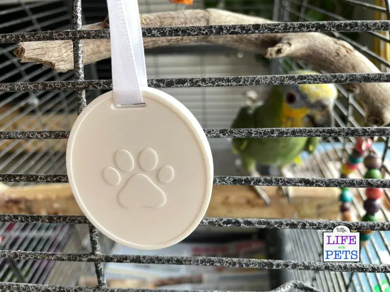 5 Must-Have Products for Your Dog This Autumn Odour Eliminator from Moodify Pet