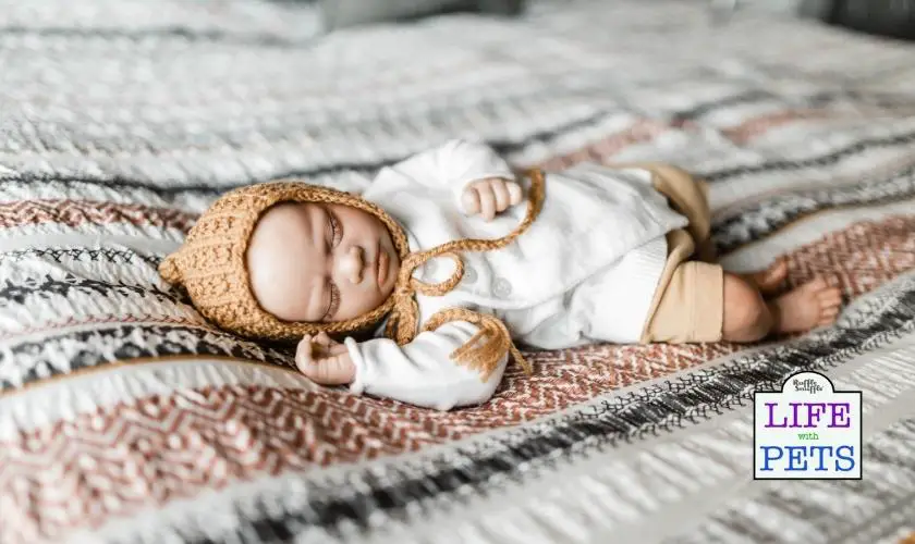 Use a baby doll to help your dog prepare