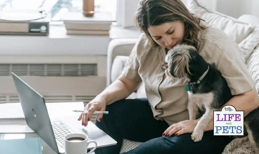 create a new routine with your dog before your baby arrives
