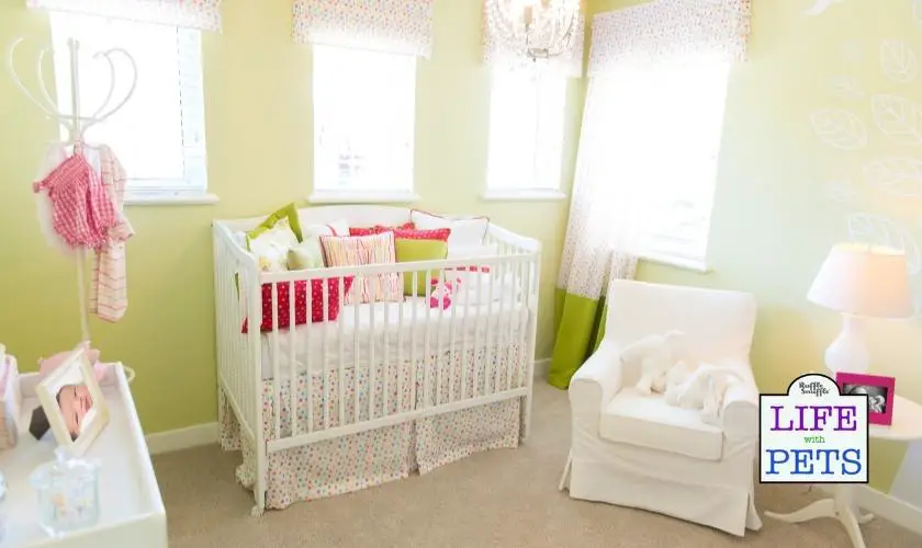 Prepare your home for your new arrival