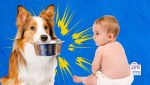 how to baby proof dog bowls