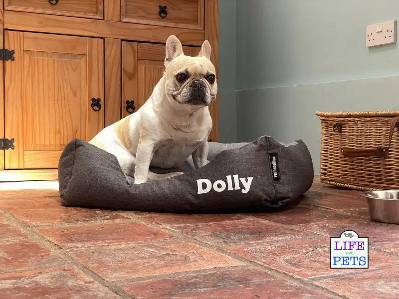 5 Must-Have Products for Your Dog This Autumn The Premium Personalised Dog Bed from Pet Rebellion - from £55.20