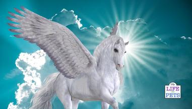 Biblical Meaning of Pegasus in Dreams