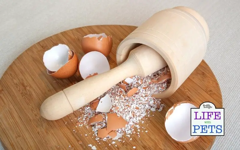 crushed egg shells can be fed to your dog
