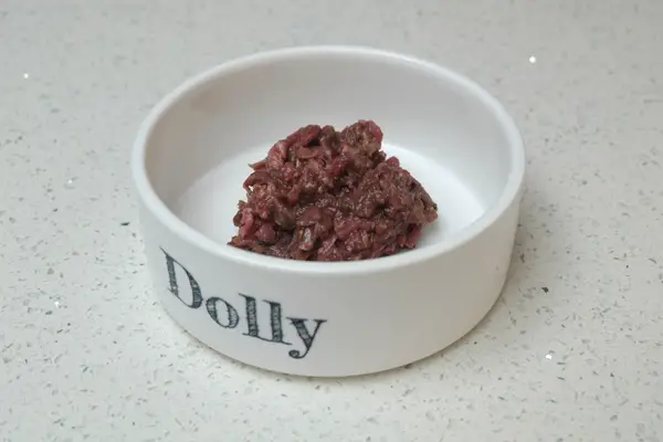Does Paleo Ridge Raw Dog Food Really Cut It? My Results After 3 Months paleo ridge raw dog food review - DOLLY (2)