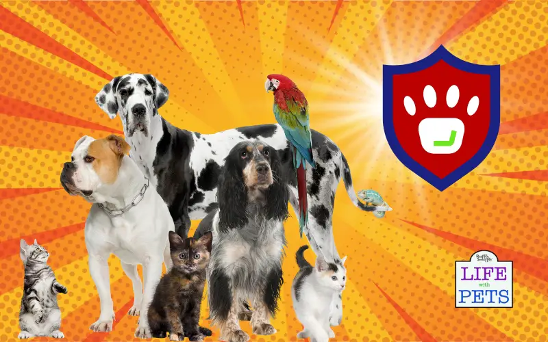 The Six Biggest Benefits of Pet Insurance