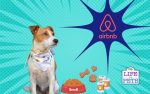 make your AIRBNB more pet friendly