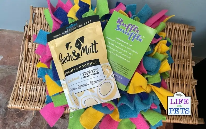 Hamper of goodies for dogs at Ickle Cottage
