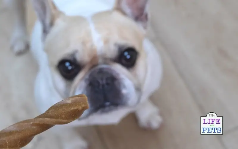 The TRUTH About Yumove Dental Care Sticks for Dogs - Do they Work? yumove dental care sticks review