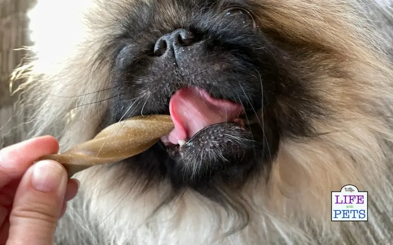 The TRUTH About Yumove Dental Care Sticks for Dogs - Do they Work? Giving your dog YuMOVE dental care sticks