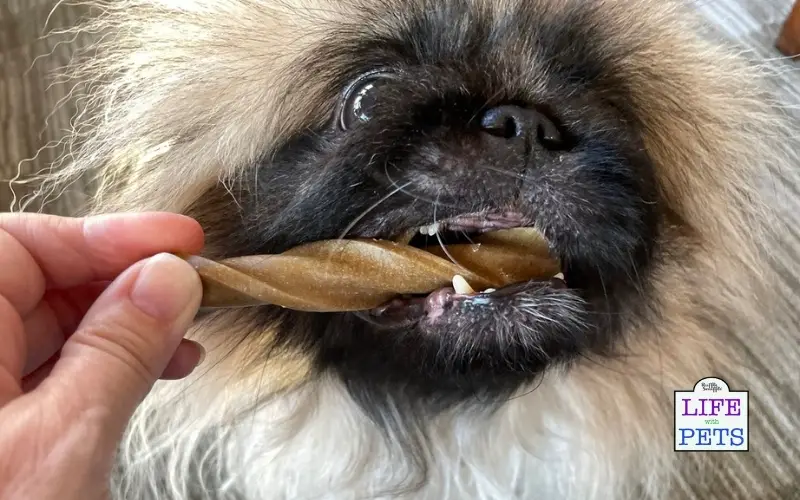 The TRUTH About Yumove Dental Care Sticks for Dogs - Do they Work? yumove dental care stick review (3)