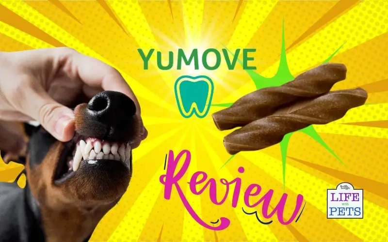 yumove dental care stick review