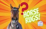 Horse Rugs_ Choosing the Right Size and Type