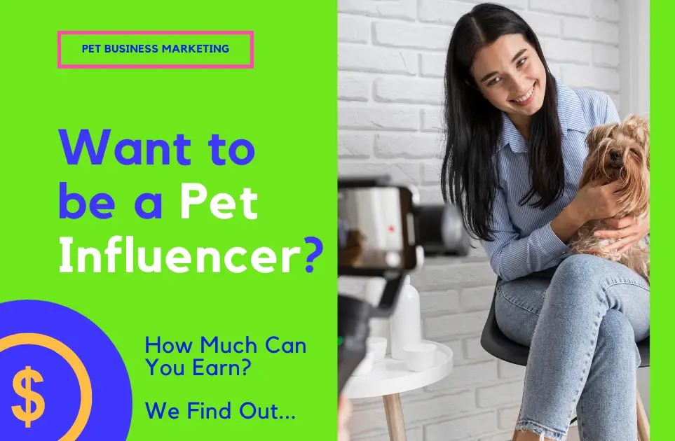 Can You Really Make Money Being A Pet Influencer