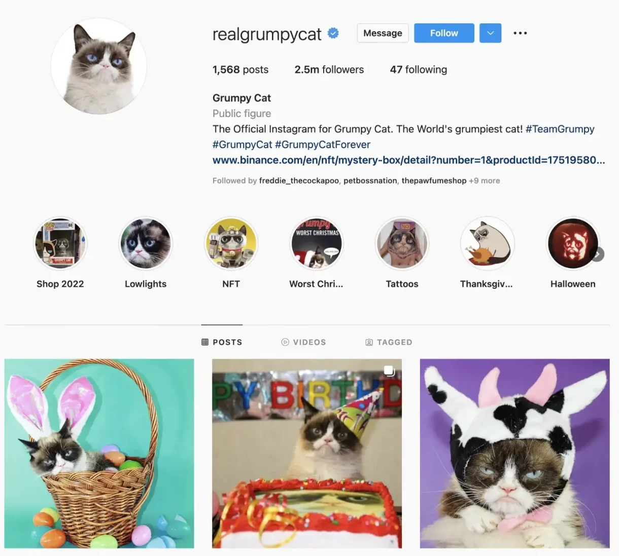 grumpycat