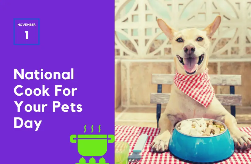 November 1: National Cook for Your Pets Day - Highlighting pet nutrition needs national cook for your pets day