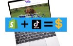 pet business marketing - ecommerce tiktok and shopify