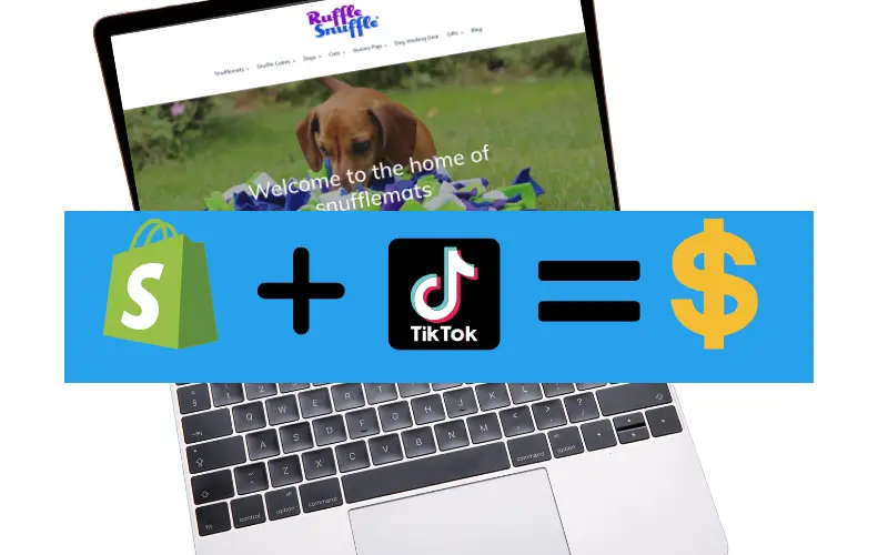 pet business marketing - ecommerce tiktok and shopify