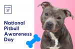 pitbull awareness day