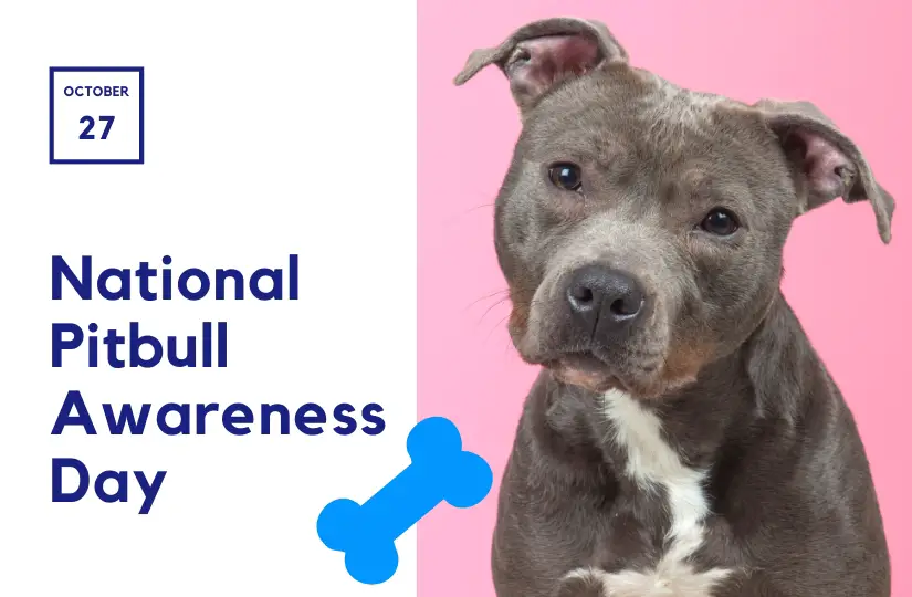 pitbull awareness day