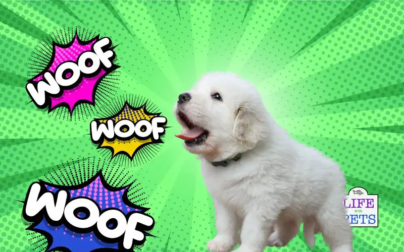 End the Frustration Easy Strategies for Training Puppies to Stop Excessive Barking