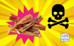 Dogs Choking on Bully Sticks