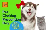 June 22 Pet Choking Prevention Day