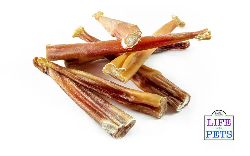 bully sticks choking hazard dog