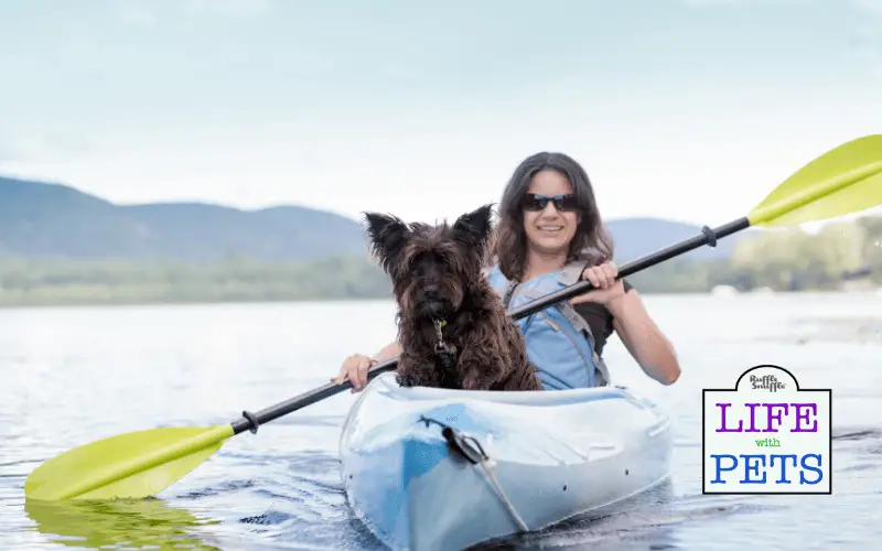 Expert Tips for Preparing Your Dog for Kayaking Excursions 2