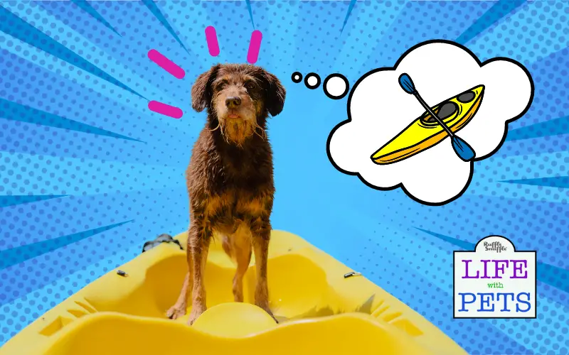 Expert Tips for Preparing Your Dog for Kayaking Excursions