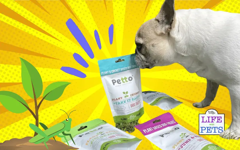 Petto Dog Treats Review - cricket and plant