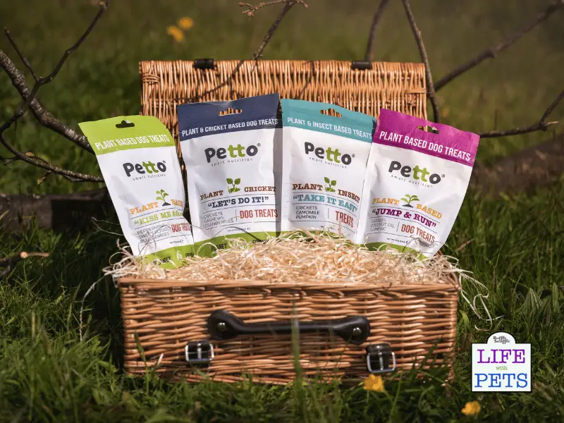 Petto Dog Treats Review
