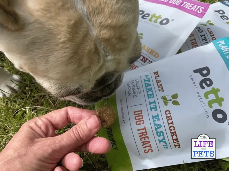 Petto dog treats review