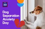 Sept 30 Dog Separation ANxiety Day