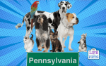 No Pet, No Problem: Pennsylvania's Best Animal-themed Experiences
