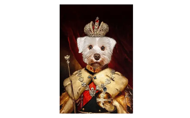 Unleash Joy with Personalized Pet Gifts for a Tail-Wagging Christmas Personalized Pet Portraits