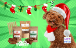 Christmas Treats For Your Dog
