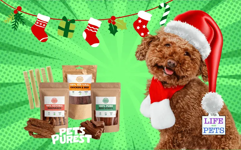 Christmas Treats For Your Dog