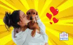 First Time Dog Owners: 10 Ways to Ensure You Get It Right