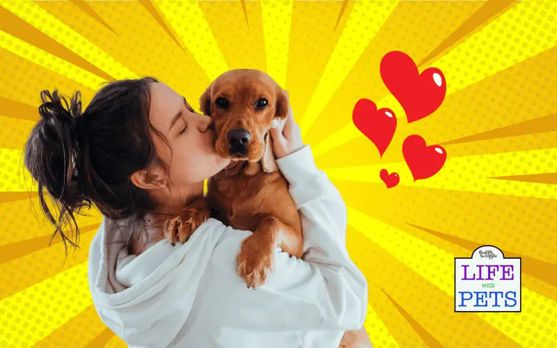 First Time Dog Owners: 10 Ways to Ensure You Get It Right