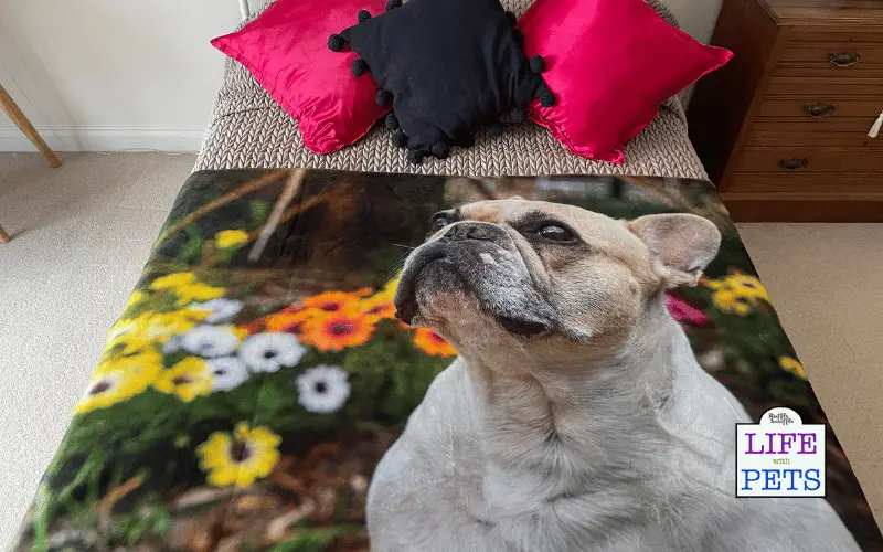 My Picture's Personalised Photo Blanket REVIEW